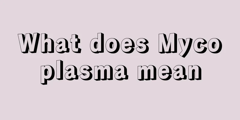 What does Mycoplasma mean