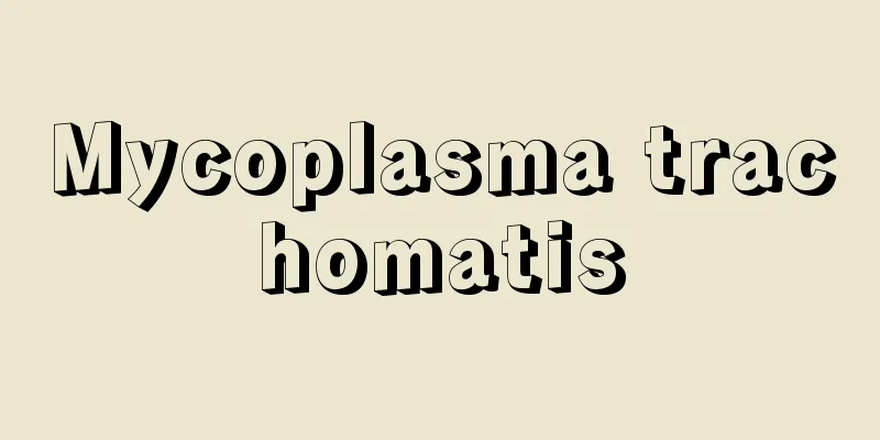Mycoplasma trachomatis