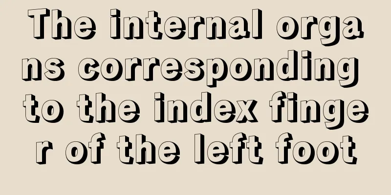 The internal organs corresponding to the index finger of the left foot
