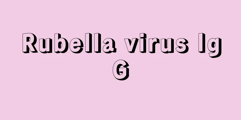Rubella virus IgG