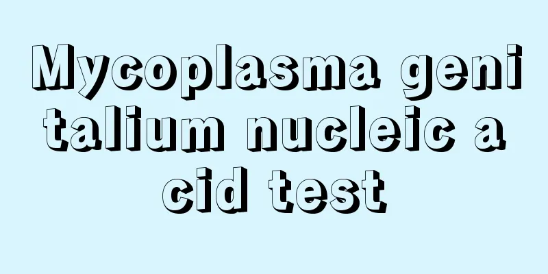 Mycoplasma genitalium nucleic acid test
