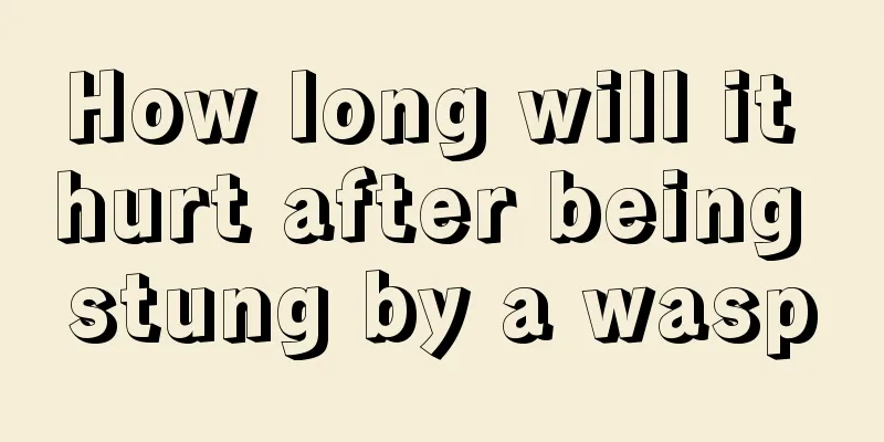 How long will it hurt after being stung by a wasp