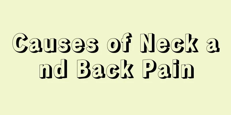 Causes of Neck and Back Pain