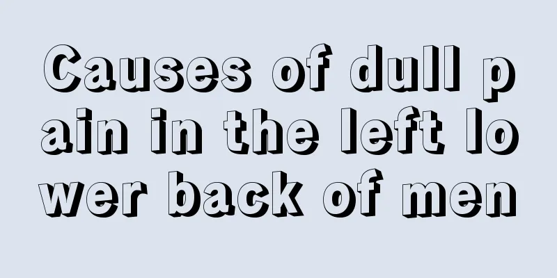 Causes of dull pain in the left lower back of men