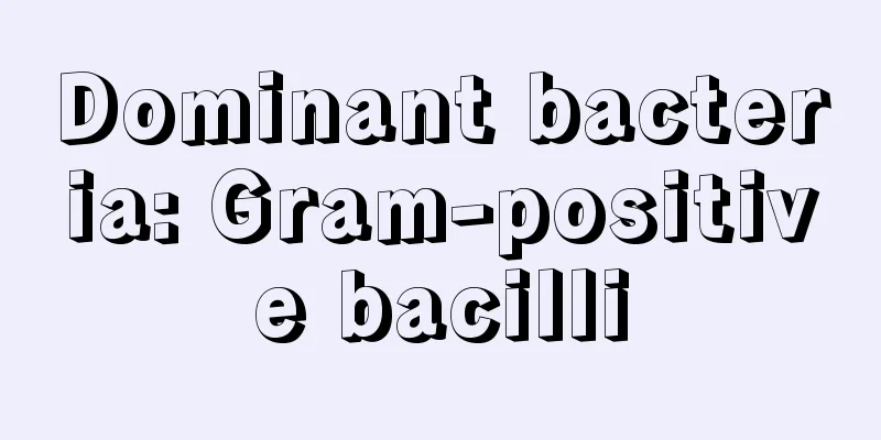 Dominant bacteria: Gram-positive bacilli