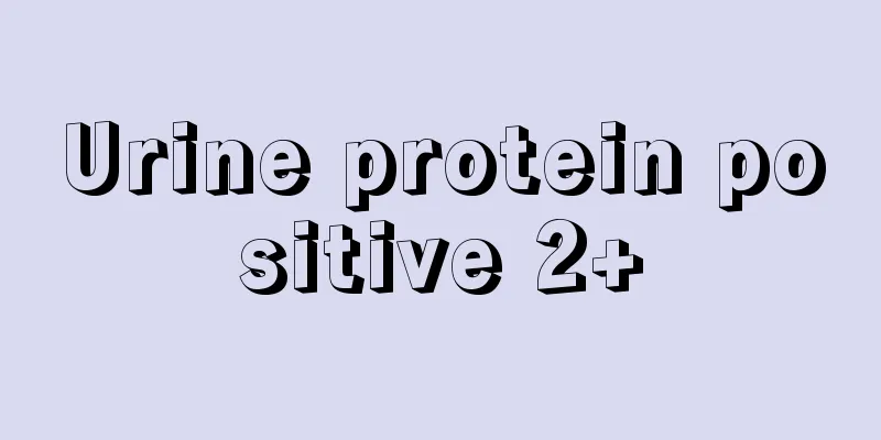 Urine protein positive 2+