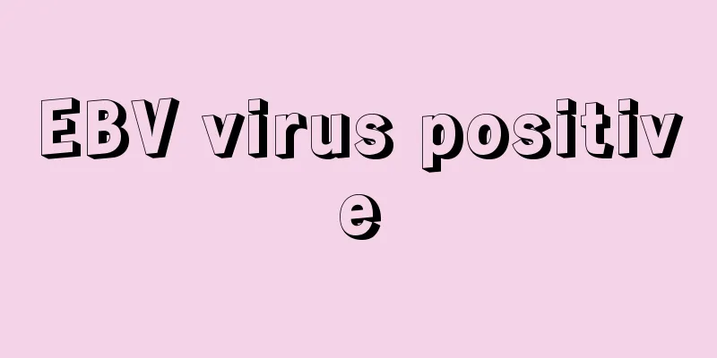 EBV virus positive