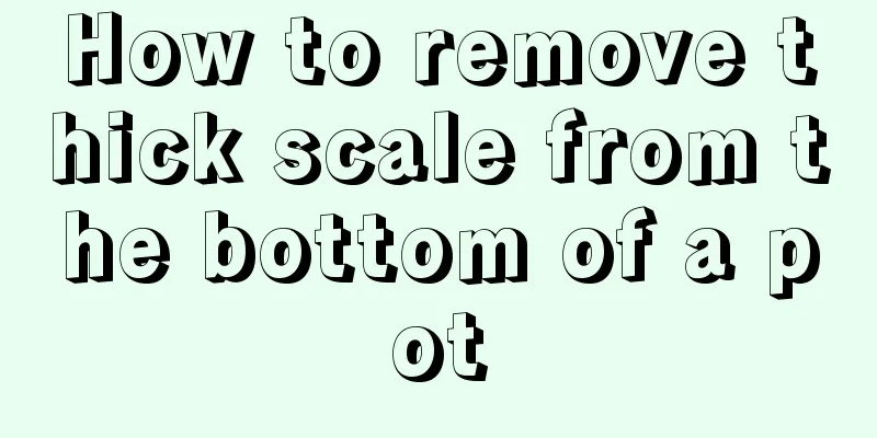 How to remove thick scale from the bottom of a pot