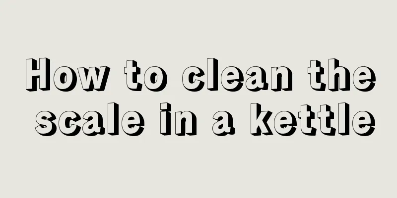 How to clean the scale in a kettle