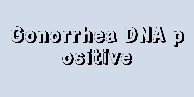 Gonorrhea DNA positive