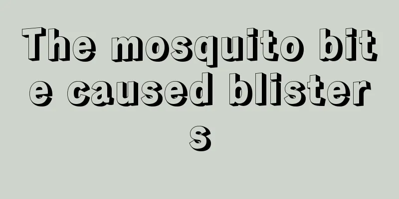 The mosquito bite caused blisters