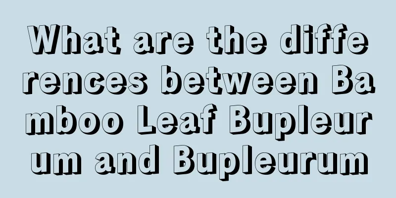What are the differences between Bamboo Leaf Bupleurum and Bupleurum