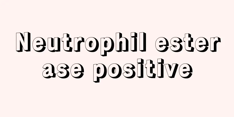 Neutrophil esterase positive
