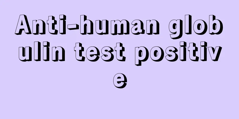 Anti-human globulin test positive
