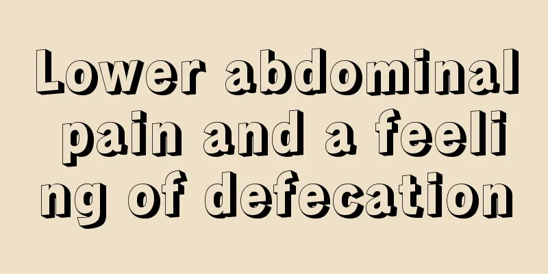 Lower abdominal pain and a feeling of defecation
