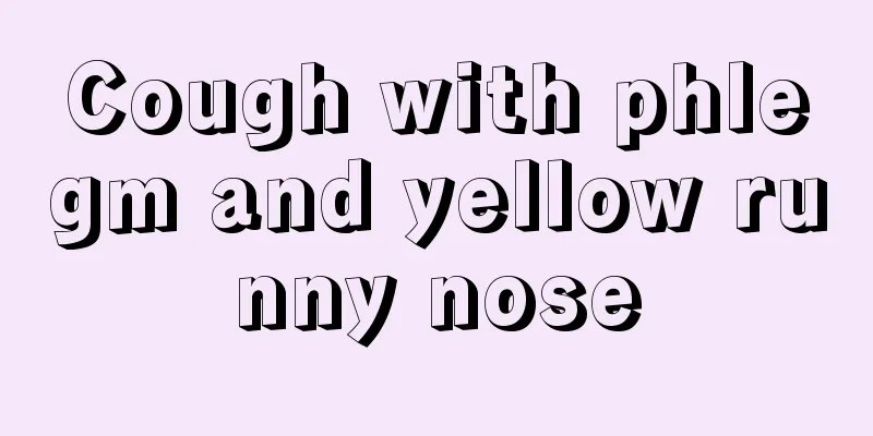 Cough with phlegm and yellow runny nose