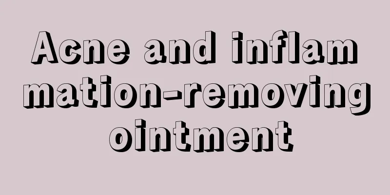 Acne and inflammation-removing ointment