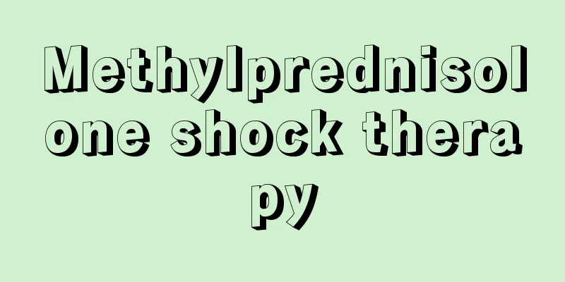 Methylprednisolone shock therapy
