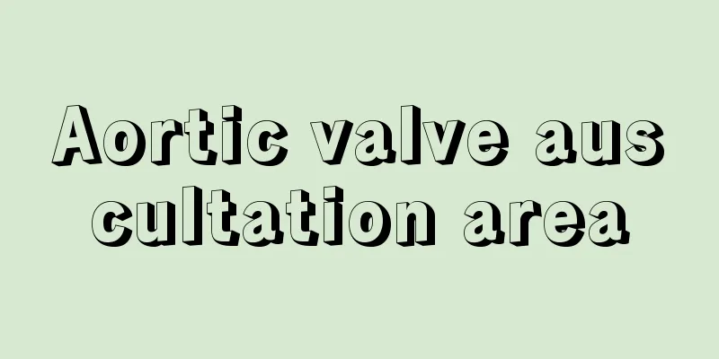 Aortic valve auscultation area