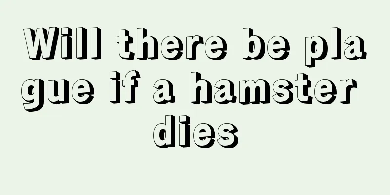Will there be plague if a hamster dies