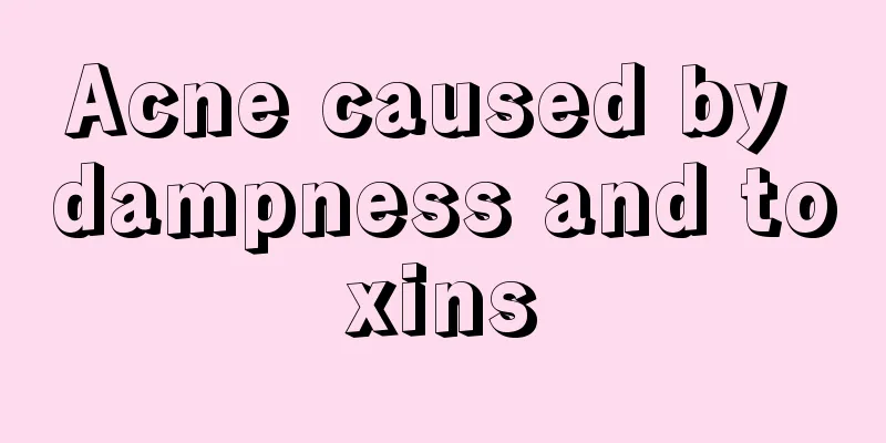 Acne caused by dampness and toxins