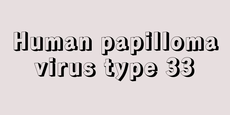 Human papillomavirus type 33
