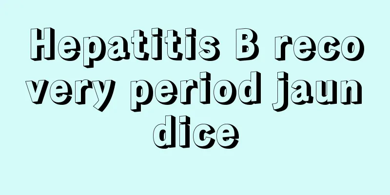 Hepatitis B recovery period jaundice