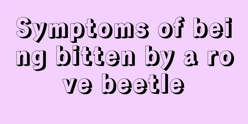 Symptoms of being bitten by a rove beetle