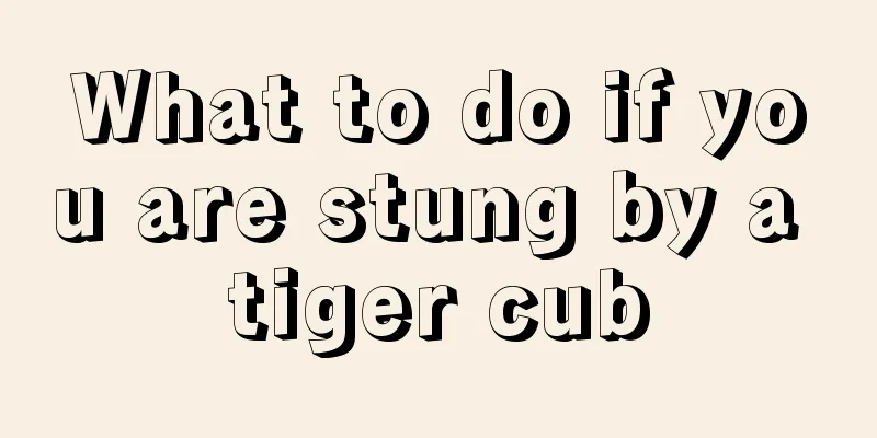 What to do if you are stung by a tiger cub