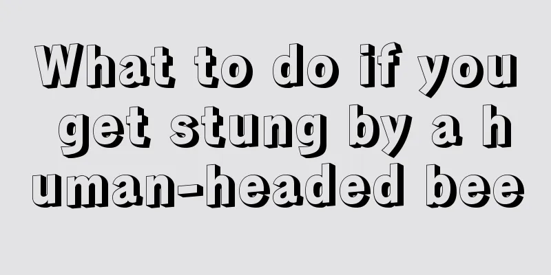 What to do if you get stung by a human-headed bee