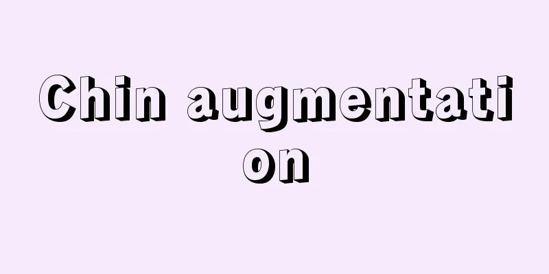 Chin augmentation