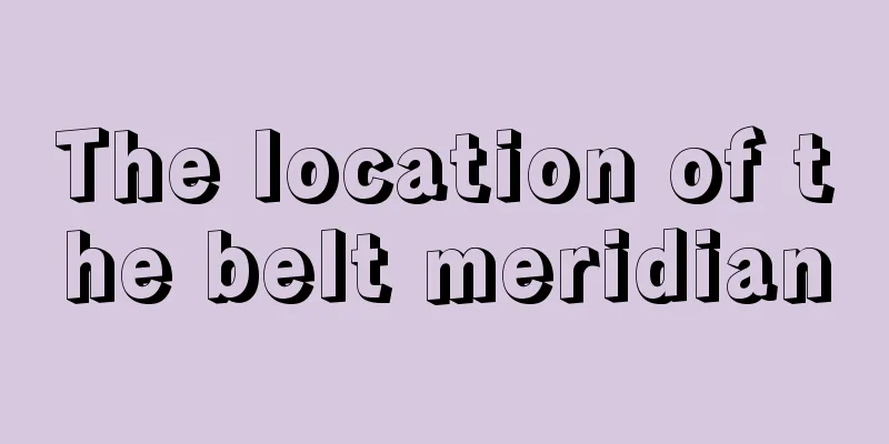 The location of the belt meridian