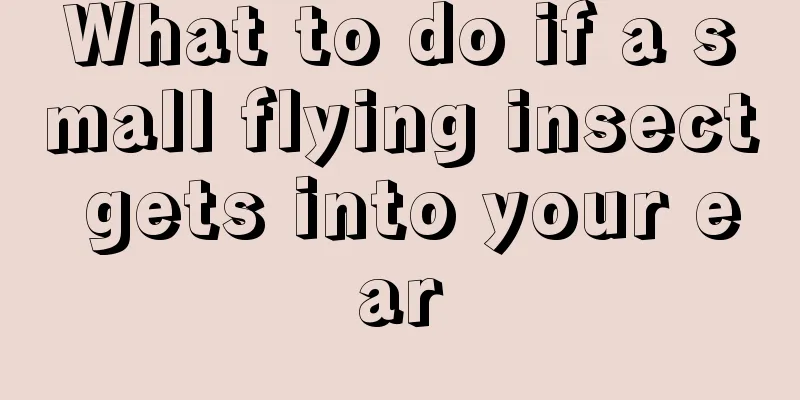 What to do if a small flying insect gets into your ear