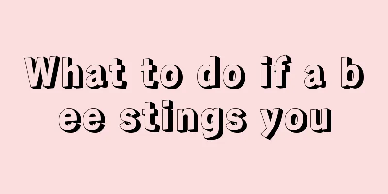 What to do if a bee stings you