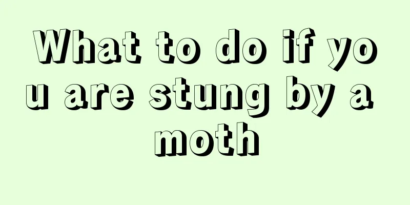 What to do if you are stung by a moth