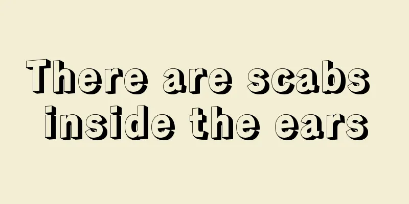 There are scabs inside the ears
