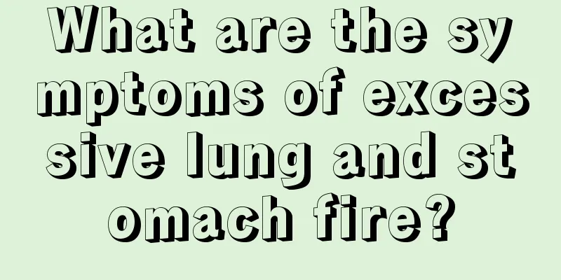 What are the symptoms of excessive lung and stomach fire?