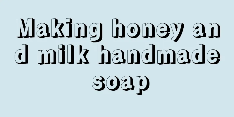 Making honey and milk handmade soap