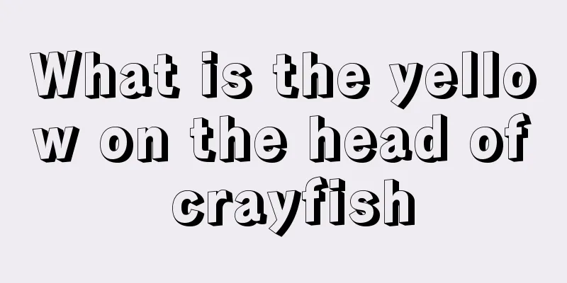 What is the yellow on the head of crayfish