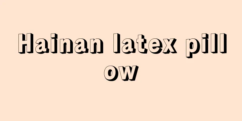 Hainan latex pillow