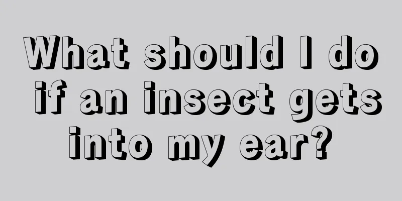 What should I do if an insect gets into my ear? 