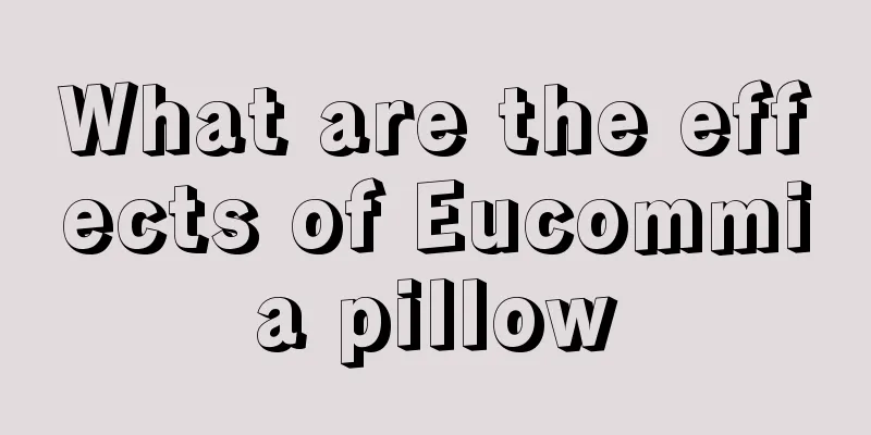 What are the effects of Eucommia pillow