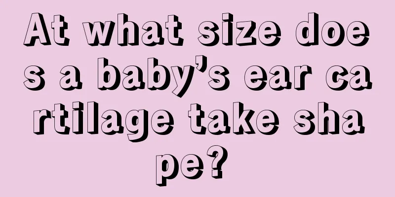 At what size does a baby’s ear cartilage take shape? 