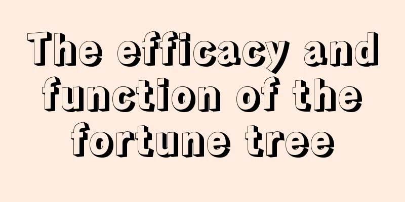 The efficacy and function of the fortune tree