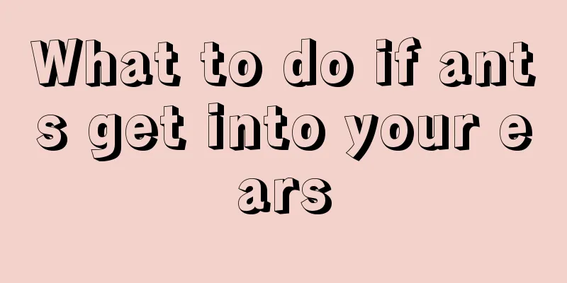 What to do if ants get into your ears