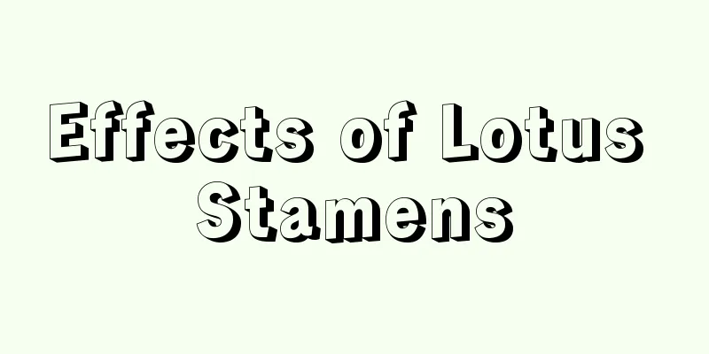 Effects of Lotus Stamens