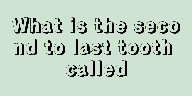 What is the second to last tooth called