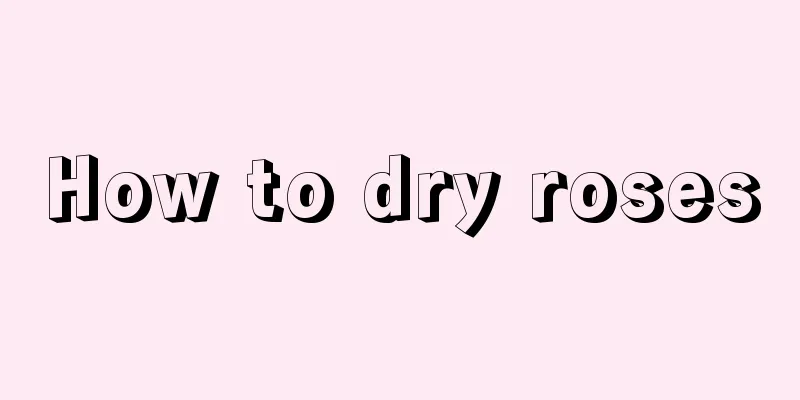How to dry roses