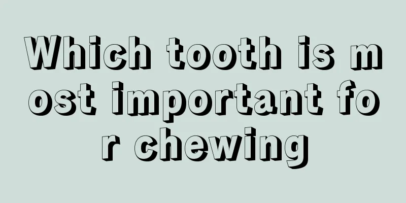 Which tooth is most important for chewing