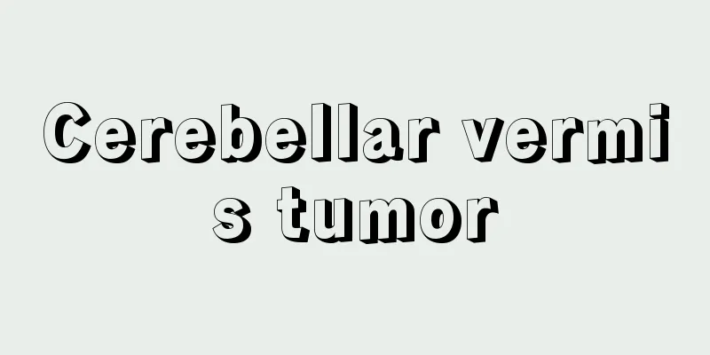 Cerebellar vermis tumor